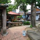 엄마와 까치집 두개 이미지