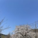 너릿재주유소 이미지