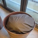 최고한우돈 | 노원 가성비 최고! 돼지고기&amp;소고기 맛집 빽돈 한우 노원 상계점 후기