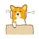 함베이글