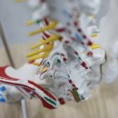 바름한의원 이미지