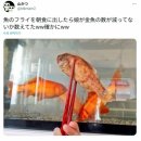 울엄마반찬 이미지
