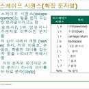 시퀀스 이미지