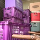 이동-11 이미지