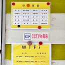캠핑. 벚꽃캠핑을 꿈꾸며 간 밀양 구천계곡 캠핑장. 벚꽃캠핑 솔직 후기. 명당자리 추천. 강변동 1...