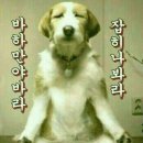 샵모빌리티 이미지