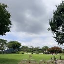 88 | ⛳️용인 88CC 라운딩 후기 서코스 첫 방문