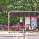 (주)위즈돔 이미지