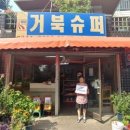 주식회사 거북 이미지