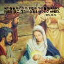 ⛪️ 천주의 성모 마리아 대축일 (세계 평화의 날) 이미지