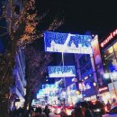 엘리제모텔 | 2015.12.25 부산여행 (남포동 크리스마스트리 축제, 남포동 엘리제 호텔)