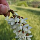 갈곡농장 이미지