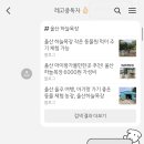 안씨목장 이미지