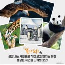 실감북스 이미지