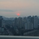 하이!털찌니들 이미지