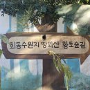 달리는강남-땅뫼산황토길 이미지