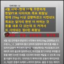 가능해짐 이미지