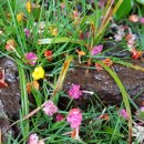 블루마린민박 이미지