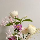 스시시오미즈
