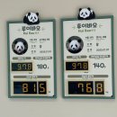 하우스랜드 | 에버랜드 ‘판다 세컨하우스’ 후기 🐼 쌍둥이 판다 루이바오·후이바오 만나는 곳 (평일 웨이팅)