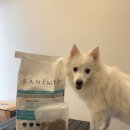 설이네 펫푸드 | 부담 없는 가격의 프리미엄 애견 사료 추천 세니메드 소분 포장