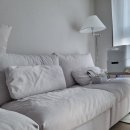 마디손정형외과병원 | 9개월아기 쇼파 낙상, 쇄골골절 진단 치료 (인천 소아정형외과, 아인병원)