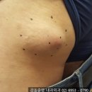 천보성 - 아산시 아산온천로 180 | 천보성