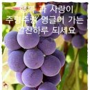 포미