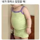 하이베베