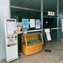 한국가스안전공사교육원 | 가스사용시설안전관리자 천안 한국가스공사 소방안전...양성교육 실습 및 이론 시험 요약자료 후기 꿀팁