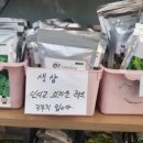 천연머리염색 세이프존 이미지