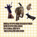 제주도 영장소리-행상소리 | 연년생 아기들과 함께! 푸꾸옥 빈펄 사파리 2시 조류쇼(버드쇼) 관람 후기 (동선,자리,관람 꿀팁 포함)