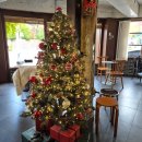 양이주택 | 대구 앞산 분위기 좋은 카페/맛집, 지이즈와 앞산주택 후기