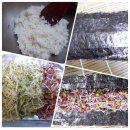 새싹김밥 - 대덕구 계족산로17번길 34 | 새싹김밥