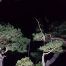 송*하 - 미추홀구 낙섬서로10번길 21-10 | 송*하