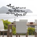 부메랑 이미지