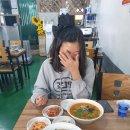 [춘천 칼국수 맛집] 파칼이