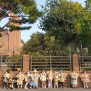 하이농장 이미지