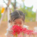 세븐일레븐 대구중리체육공원점 이미지