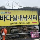 돌고래실내낚시터