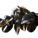 옹시미 - 태백시 | 옹시미
