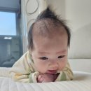 생후 1개월 • 육아일기 • B형간염 2차 / 50일 촬영 / 신생아 심잡음 대학병원 / 크리스마스