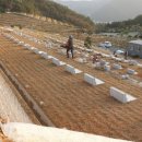 남해조경농원 이미지