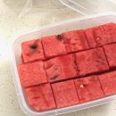 여수맛집 :: 여수과일가게 추천 ‘로즈애플’ 🥭 / 웅천과일가게 추천 / 방문 솔직후기 / 여수과일...