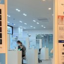 코코치과의원 네이버블로그