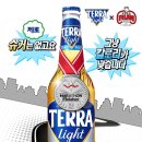 테라 이미지