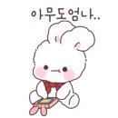 앨리헤어 이미지