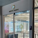 WITTY PUPPY 이미지