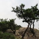 겜샤프트 네이버블로그