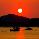 뜨락의아침 이미지